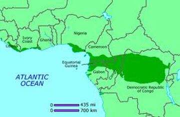 Mokele-mbembe is usually sighted in Africa countries: the Congo