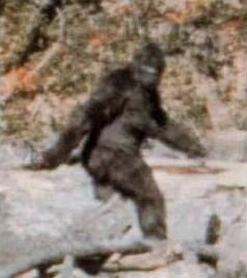 Bigfoot - Wikipedia