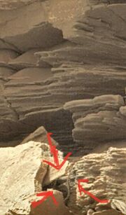Mars-cephalopod-like-creature-sheltered-in-recess-of-a-rock-v0-630qie9jnhha1