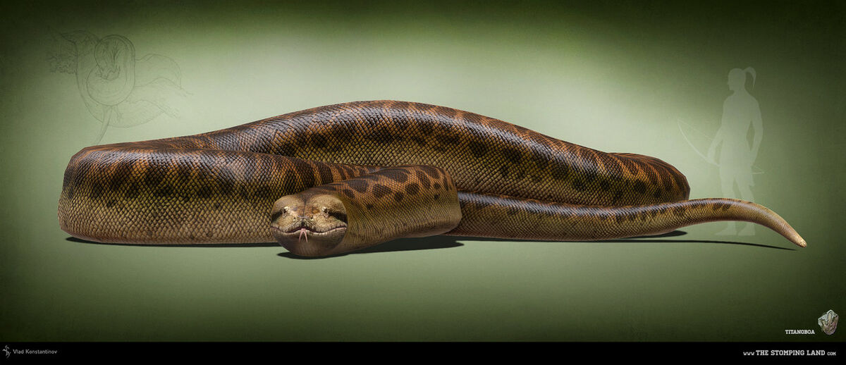 Zombie snakes' in North Carolina are a lot less scary than they