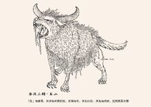 JIAO.jpeg