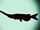 Monster Fish of Lake Amehata