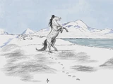 Kerguelen Islands Horse