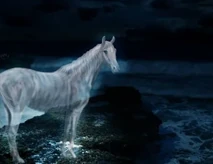 A white mule or horse one of the most common ghosts related to los entierros.