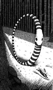 Hoop Snake.jpg (123 KB) Fearsome creatures - (2015)
