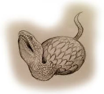 Tsuchinoko | Cryptid Wiki | Fandom
