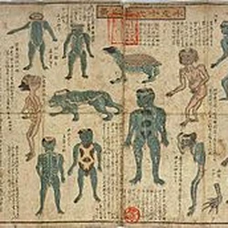 Kappa | Cryptid Wiki | Fandom