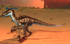 A desert raptor