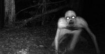Berwyn monster.jpg
