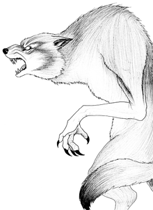Anjing Ajak.png
