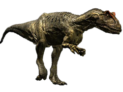 ShukerNature: SHUKERNATURE'S TOP TEN LIVING DINOSAURS OF CRYPTOZOOLOGY