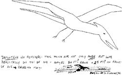 Susan Wooten's sketch from 1989