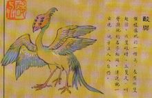 SUANYU.jpg