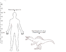 01A-Hight Compairison NFS-Human 2002 Cryptid Wiki