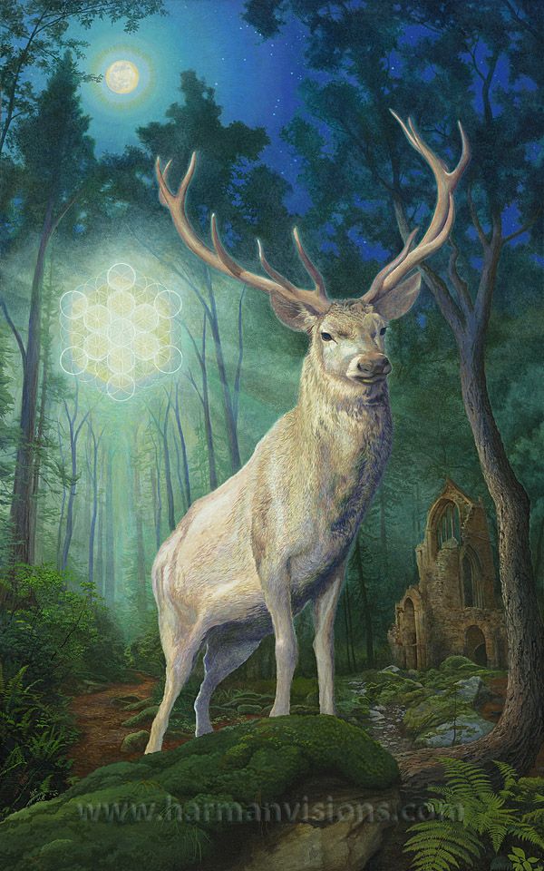 White Stag | Cryptid Wiki | Fandom