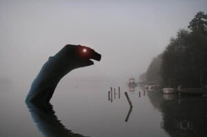 Swan2.jpg