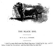82525830 97f787de8a o.jpg