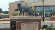 The Wampus Cat mascot of Conway High School