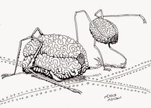 Space Brains of Palos Verdes.jpg