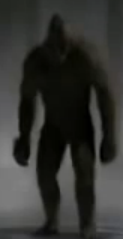 Darkwood.png
