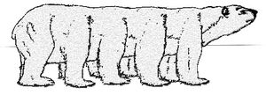 Kk2