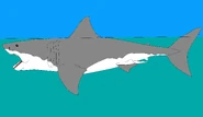 51205432660 e940426ed3 o.png (187 KB)
