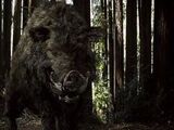 Beast of Dean