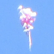 Bizarre EBANI, possibly just a bunch of balloons