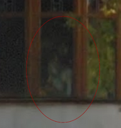 Supposed sighting. Consists of a blurry figure.