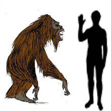 Yeti Cryptid Wiki Fandom
