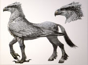 Hippogriff