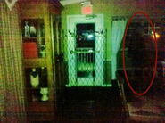 Real-Ghost-Pictures-The-Shadow-People