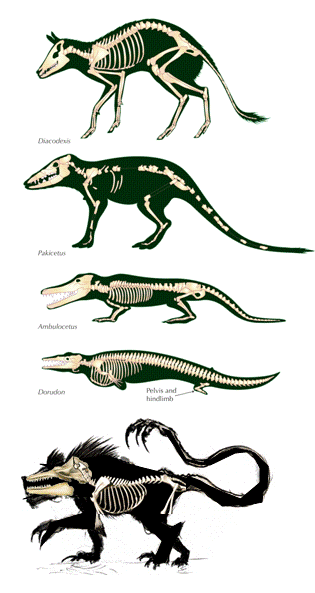 Mokele-mbembe : r/SpeculativeEvolution