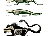 Cryptid Evolution