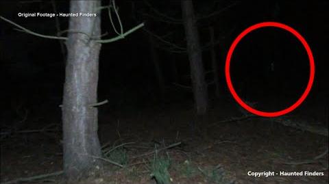 Black_Eyed_Child_Ghost_Caught_on_Tape_Cannock_Chase