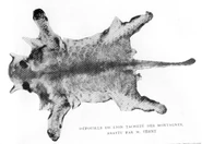 Marozi10.jpg (131 KB) The Marozi skin