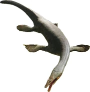 Nothosaur