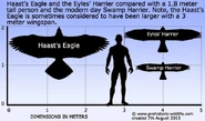 626F704C-B5B5-4B8A-A147-0BC47326271F.jpeg (70 KB) Haast’s eagle comparison.