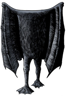 Bat beast of Kent