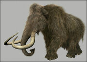 Woolly mammoth