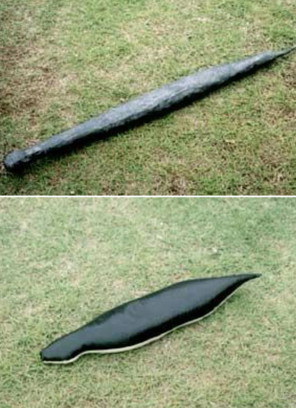 ツチノコ Tsuchinoko | Cryptid Wiki | Fandom