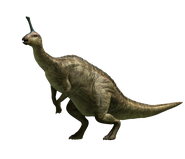 Tsintaosaurus