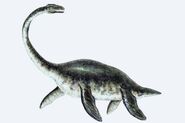 Focus plesiosaur