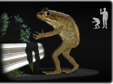 Loveland Frogmen