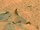 Martian Bigfoot