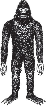 Yowie Wowie: Australia's Bigfoot — Cryptid Campfire