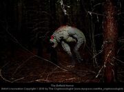 Enfieldhorror02