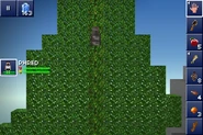 The drop bear as it appears at the top of a tree in Blockheads