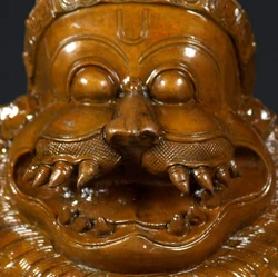 Narasimha's Face