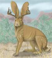 Artist’s Rendering of a Jackalope